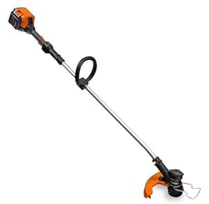 WORX WG168 40-volt Lithium Cordless Grass Trimmer and Edger at Sears.com