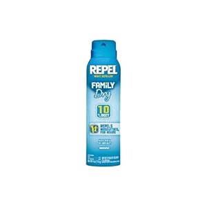 Repel Family Dry Aerosol, 4-Ounce at Sears.com