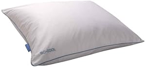 Carpenter Company Sleep Better Isotonic Iso Cool Polyester Bed Pillow at Sears.com
