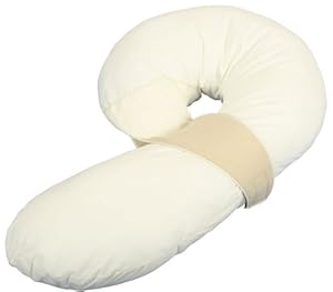 Leachco Preggle Comfort Air-Flow Body Pillow at Sears.com