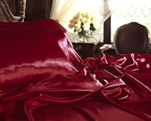 MagaMallGroup NEW SATIN SHEET SET WITH PILLOWCASES, TWIN (SINGLE), BURGUNDY at Sears.com