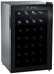 Wine Enthusiast Silent 28 Bottle Touchscreen Wine Refrigerator (Mirrored Door) at Sears.com