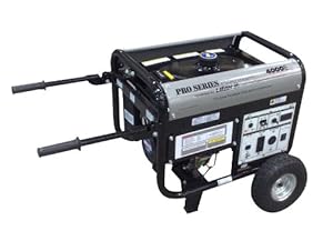 Lifan CA-LF4000CPI 4000-Watt Platinum Pro-Series Generator at Sears.com