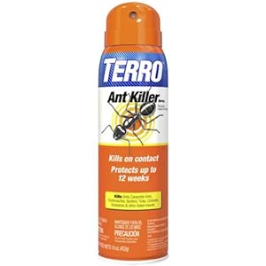 Terro T401 Ant Killer Spray at Sears.com