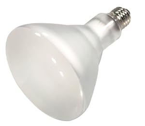 Satco Products S7006 120V 400BR40 Fluorescent Pool Lamp