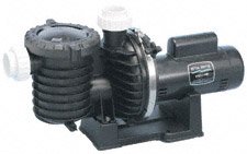 Pentair Sta-Rite P6EAA6G-208L Max-E-Pro Energy Efficient Single Speed Up Rated Pool and Spa Pump, 2-1/2 HP, 230-Volt at Sears.com
