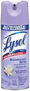 Lysol Disinfectant Spray, Early Morning Breeze, 12.50 Ounce at Sears.com