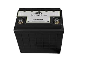 Braille Battery OSU1R-1245 Oasys 12V 'Group U1R' Deep Cycle Energy Storage Battery at Sears.com