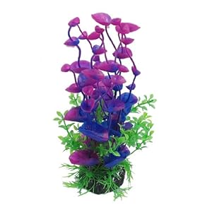 Buy landscape decorative stands - Como Purple Green 8.3\" Landscaping Water Plant Decoration for