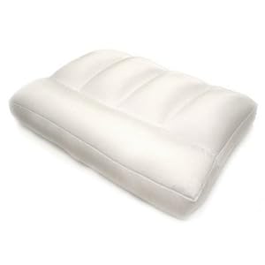 Pinzon Basics Micro Bead Medium Density Therapy Pillow with Cover at Sears.com