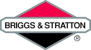 Briggs & Stratton Original Briggs & Stratton 591378 Carburetor OEM Carb at Sears.com