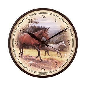Acu Rite Alarm Clock from Sears.