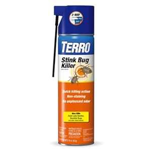 Terro T3500 Stink Bug Killer Aerosol Spray at Sears.com