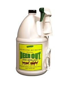 Deer Out Deer Repellent Deer Out 1 Gallon Ready to Use Deer Repellent at Sears.com