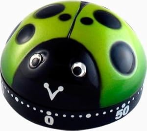 NYCL Ladybug Time Out Kitchen Cooking / Baking Timer - Green at Sears.com