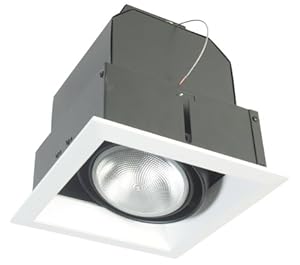 Eurofase TE161-01 1-Light PAR20 Recessed Mutiple Square Trim, Black at Sears.com