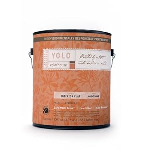 YOLO Colorhouse Interior Paint, Water .04, Quart at Sears.com