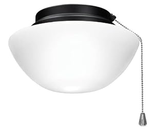 Broan NuTone Model LK50DBQ Light Kit, Outdoor Damp Rated, Barbecue Black Trim at Sears.com