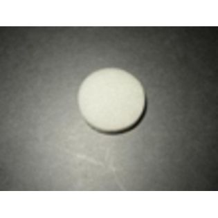 Kirby  Rug Renovator/Carpet Shampooer Tank Filter Sponge, Fits: Kirby Heritage I, II and Legend Carpet Shampooer Tank at Sears.com