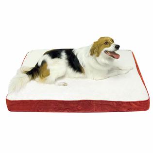 Ozzie Medium Deep Red Orthopedic Dog Bed Ozzie Medium Deep Red Orthopedic Dog Bed