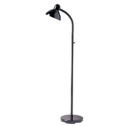 Flexible Gooseneck Floor Lamp