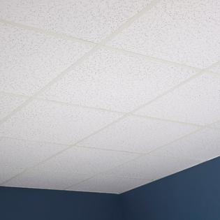 Acp Genesis Printed Pro White 2 X 2 Ft Lay In Ceiling Tile