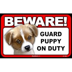 GOV BEWARE Guard Dog on Duty Sign - Puppy at Sears.com