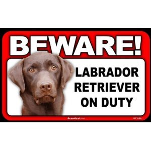 GOV BEWARE Guard Dog on Duty Sign - Labrador Retriever - Chocolate at Sears.com