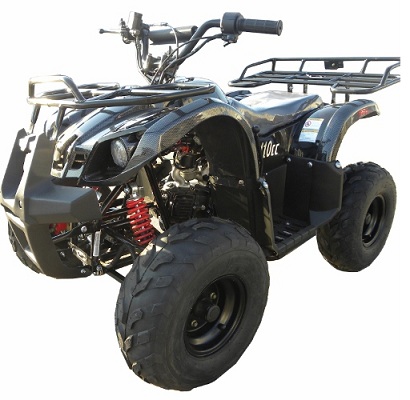 Peace Powersports TPATV516R METALLIC BLACK 110cc Reverse Auto 4 Stroke 2WD Chain Driven ATV at Sears.com