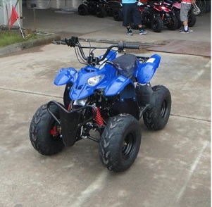 Peace Powersports TPATV507 METALLIC BLUE 110cc Automatic 4 Stroke 2WD Chain Driven ATV at Sears.com