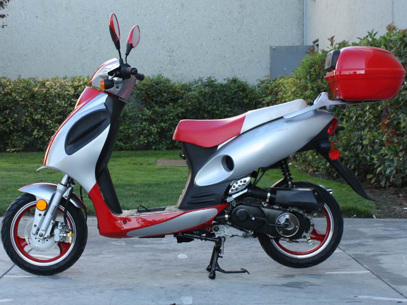 Sunny Powersports Gaspowered Scooters Get Fuelpowered Scooters at Sears
