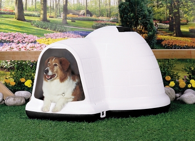 Petmate Indigo Igloo Plastic Dog House  Large  for Large Pets 50-90 lb  Taupe