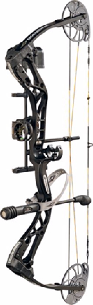 Diamond archery coupons