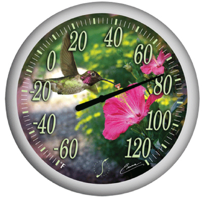 Taylor Hummingbird's Bouquet Thermometer 13.25" at Sears.com