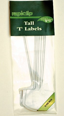 Seeds