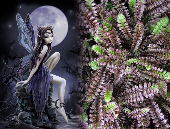 Hirts: Vines & Groundcovers 'Gothic Fairy Fern' - Leptinella - Indoors or Out - One Quart Pot at Sears.com