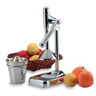 Aramco Imports Stainless Steel Juicer at Sears.com