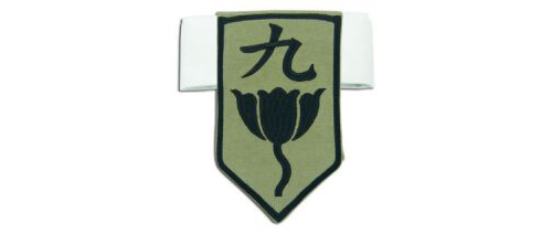 GE Arm Band Bleach: Arm Wear - Division Nine Kaname Tosen anime cosplay accessory at Sears.com