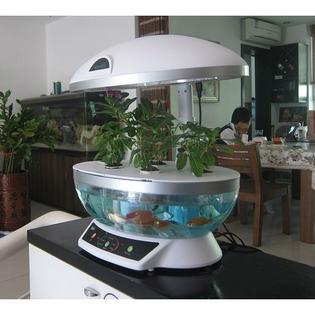 GreenHome123 Aquaponics Kit Indoor Herb Garden Hydroponic System ...