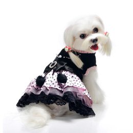 Pooch Outfitters Olivia Party Dog Dress-S at Sears.com