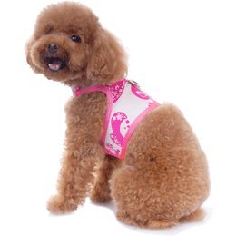Pooch Outfitters Paige Dog Harness Top -XXS at Sears.com