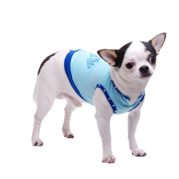 Pooch Outfitters Birthday Boy Dog Tank Top-XL at Sears.com