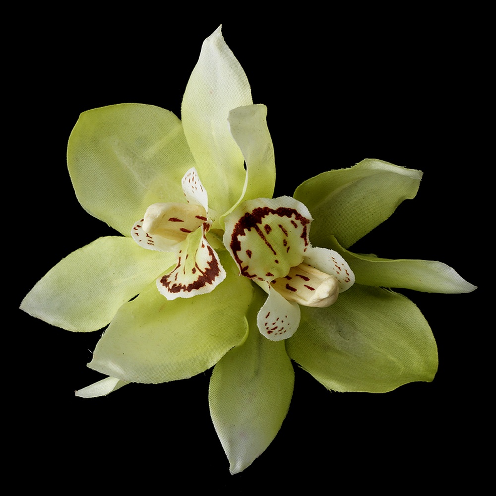 Melissa Kay Collection Green Orchid Flower Hair Clip Melissa Kay Collection Green Orchid Flower Hair Clip