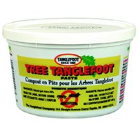 tanglefoot company TANGLEFOOT 15 oz Tree Pest Barrier at Sears.com