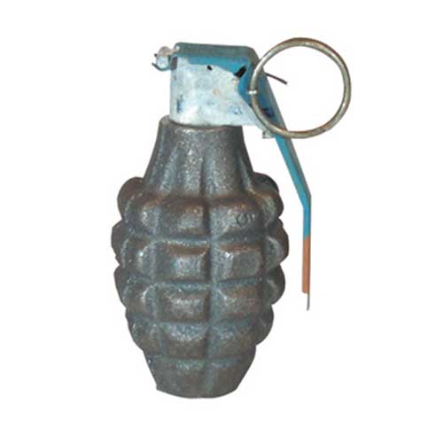 Fox Outdoor Dummy Grenade - Pineapple at Sears.com