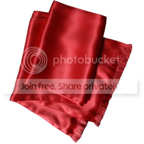 Royal Silk Red Silk Aviator Scarf at Sears.com