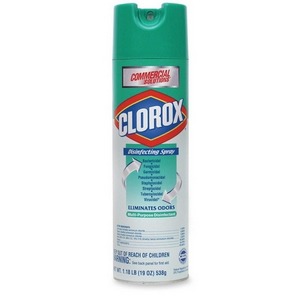 Clorox Hospital Grade Disinfecting Spray at Sears.com