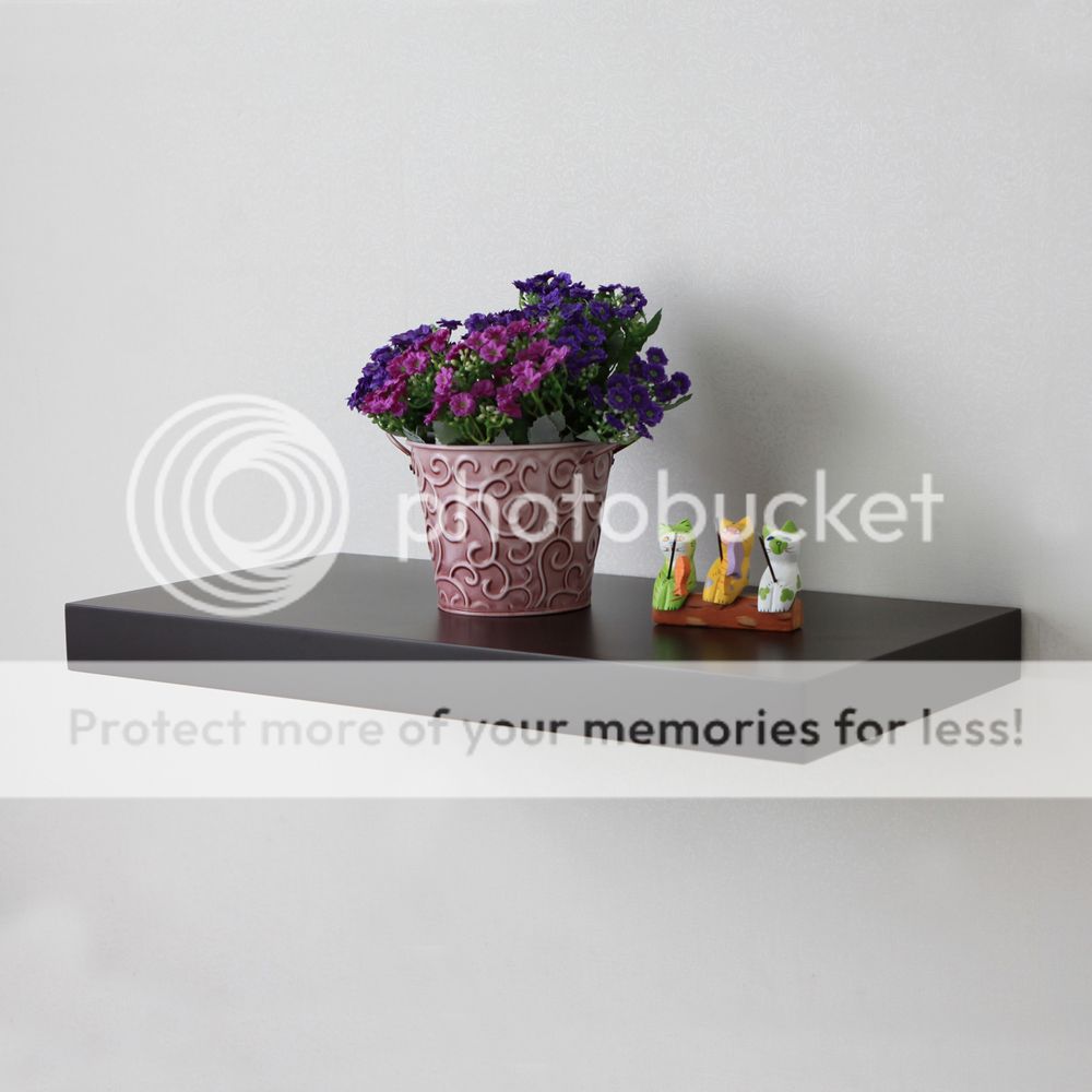 Welland Floating Wall Shelf Wood Display Shelving (Black, 24 inch) at Sears.com
