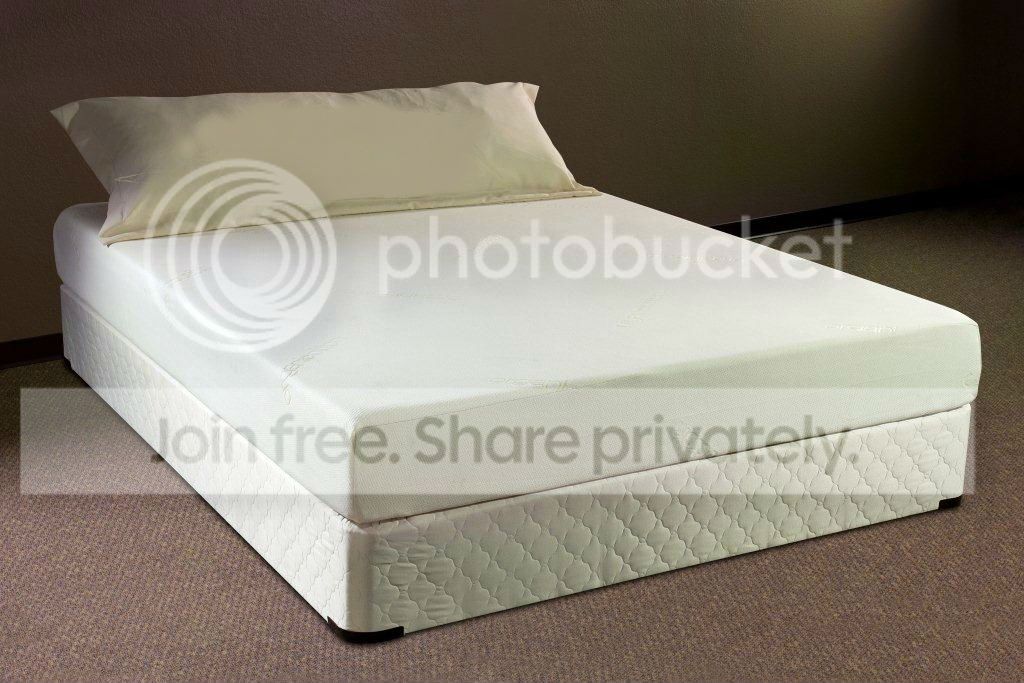 Zzz Sleep products Memory Foam Eco-Friendly 8" Mattress - Twin XL at Sears.com