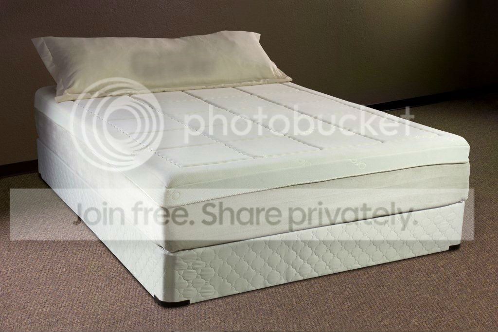 Zzz Sleep products Memory Foam Eco-Friendly 12" Mattress - Twin at Sears.com